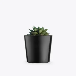 product image 3 optimized