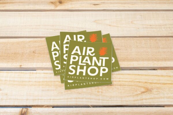 air plant shop vinyl brand sticker 3x3 inches air plant shop vinyl brand sticker 3x3 inches