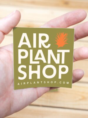 air plant shop vinyl brand sticker 3x3 inches
