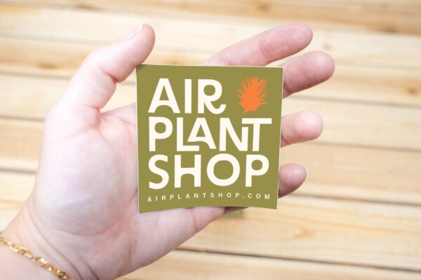 air plant shop vinyl brand sticker 3x3 inches air plant shop vinyl brand sticker 3x3 inches