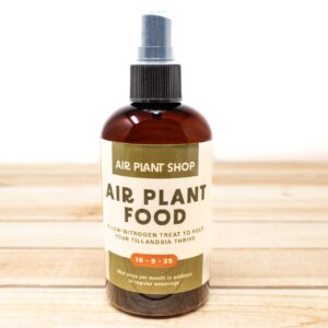 ready to use tillandsia air plant fertilizer