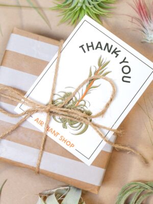 blooming xerographica illustration gift & thank you cards