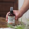 ready to use tillandsia air plant fertilizer