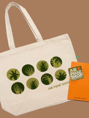 air plant shop vip merchandise combo